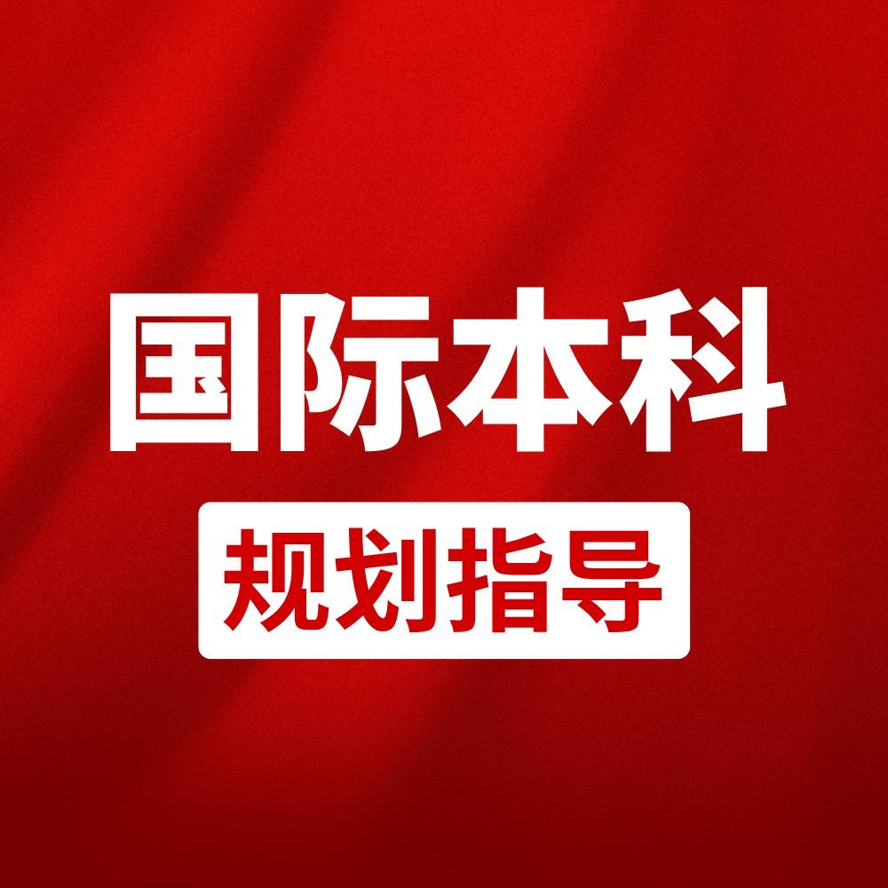 牛哥讲国际本科