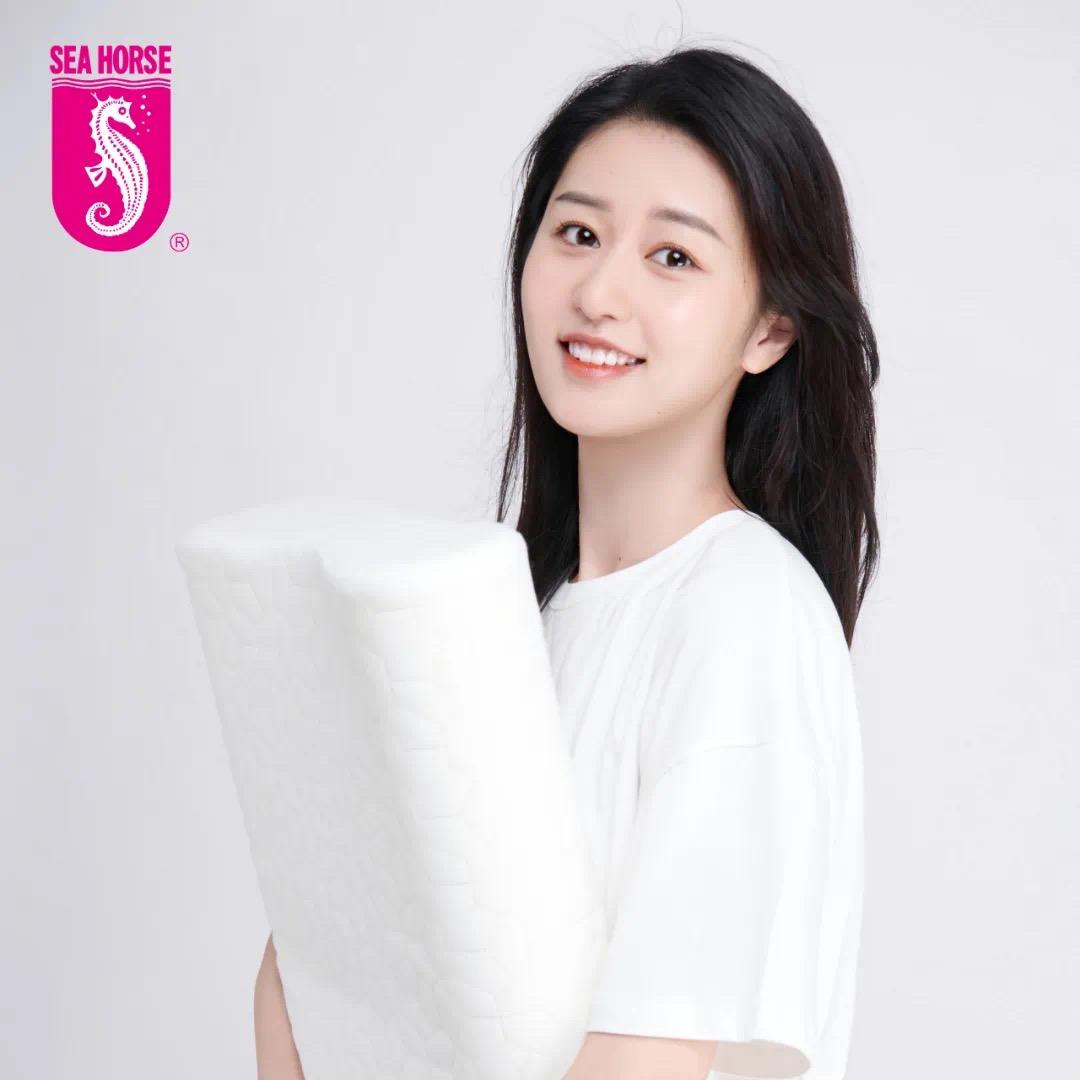 考拉之眠（海马牌床垫）郑建标