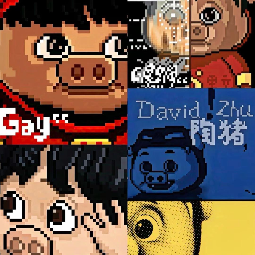 66.6w人关注