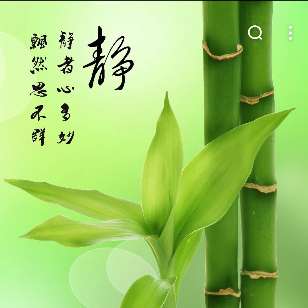 剪接