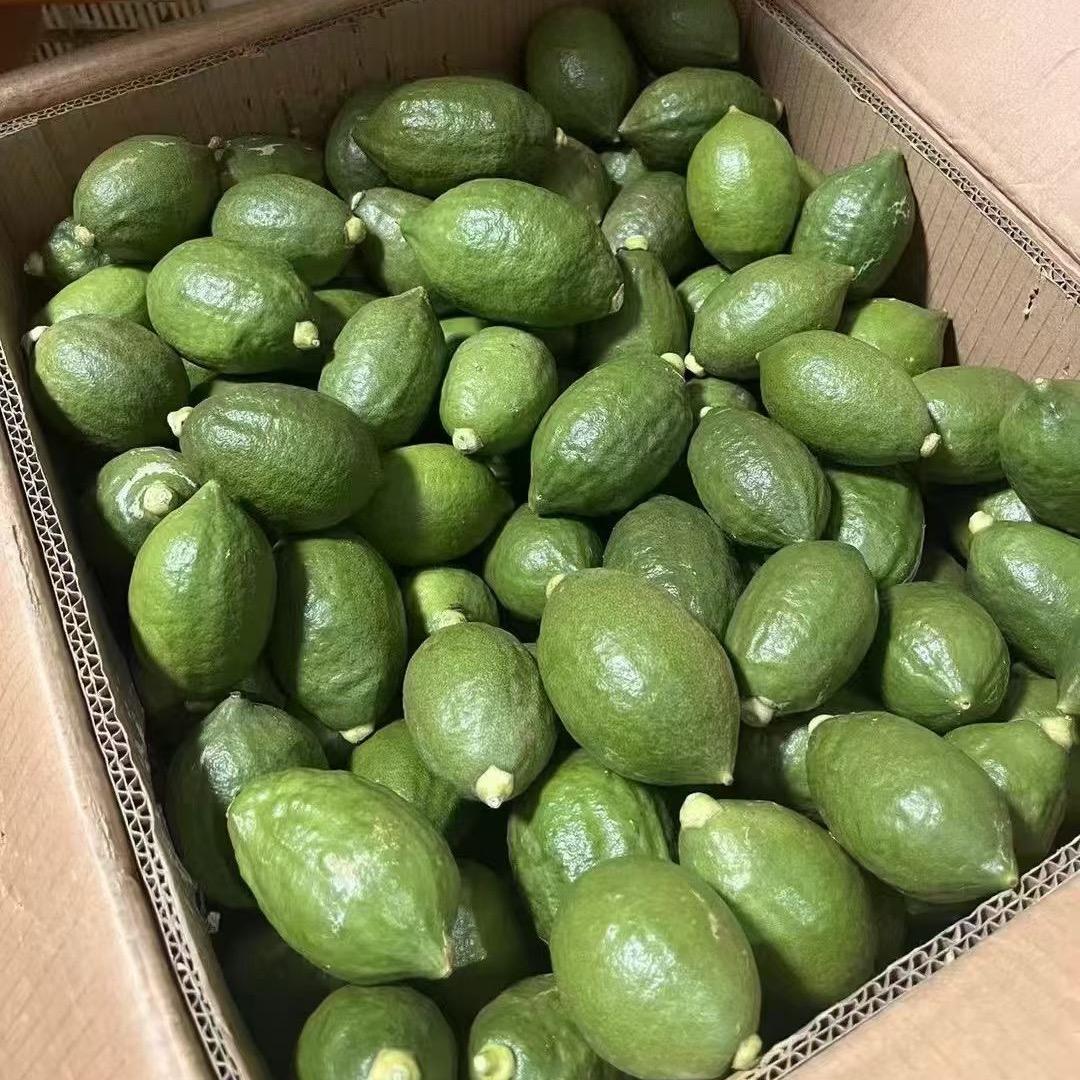 杰胜香水柠檬2025年保证会发✌️