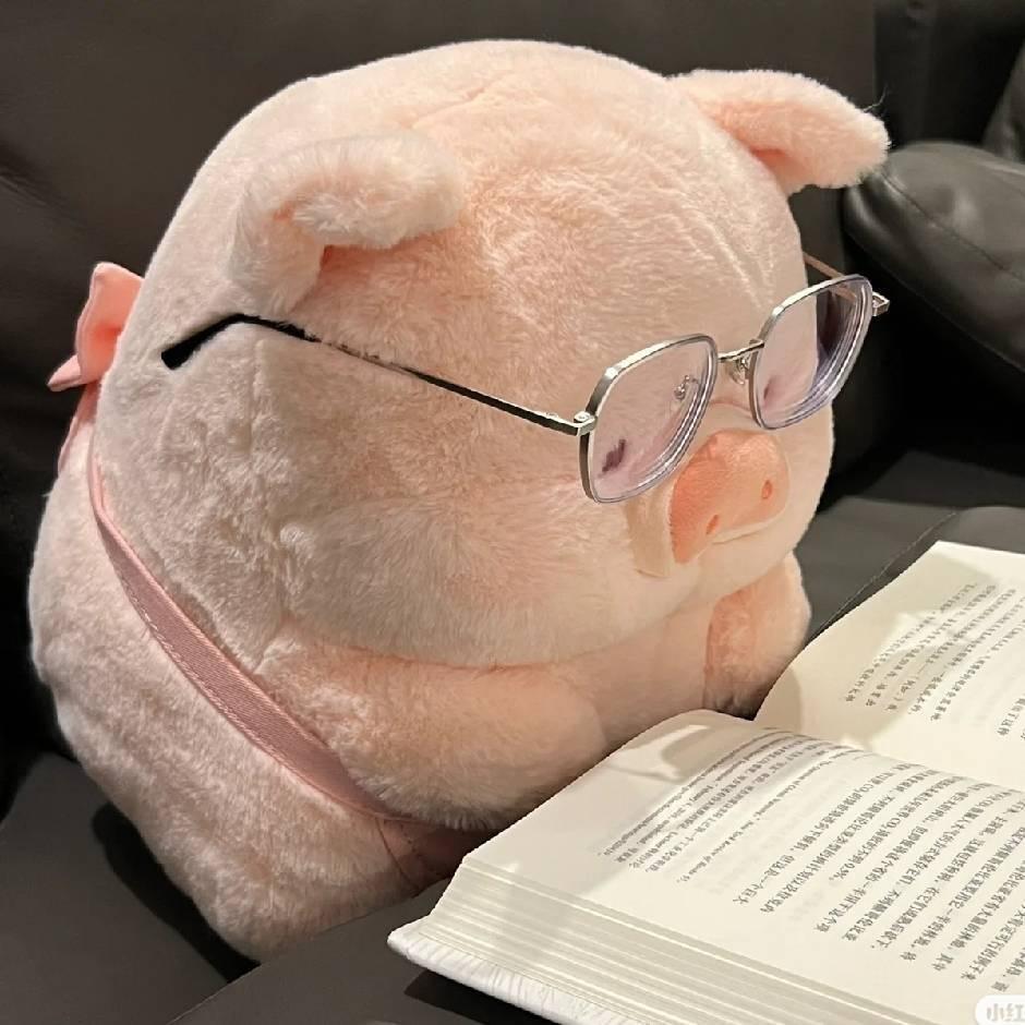 秦劳致富带头人