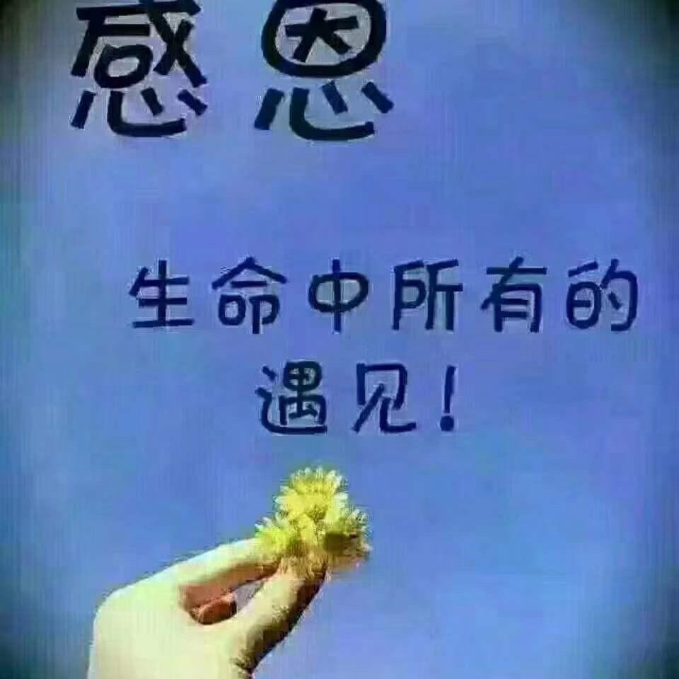 上善若水