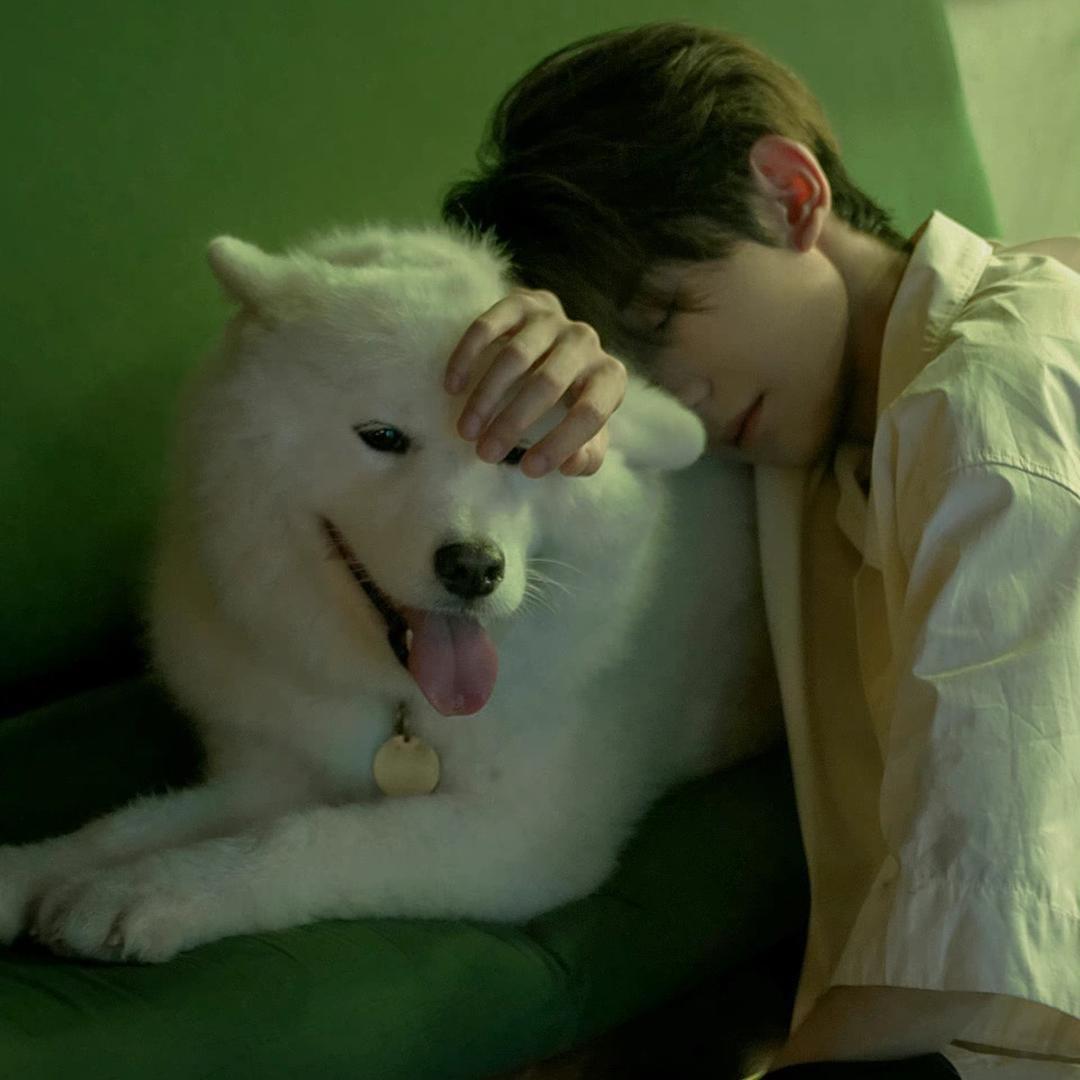 云初 •͈ᴗ⁃͈