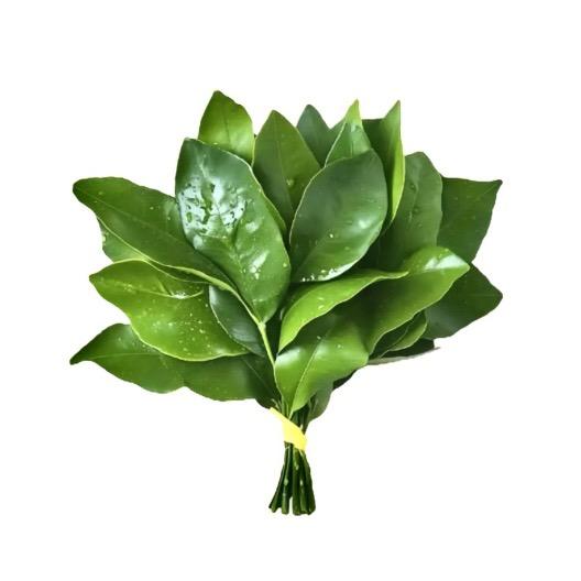 Yun