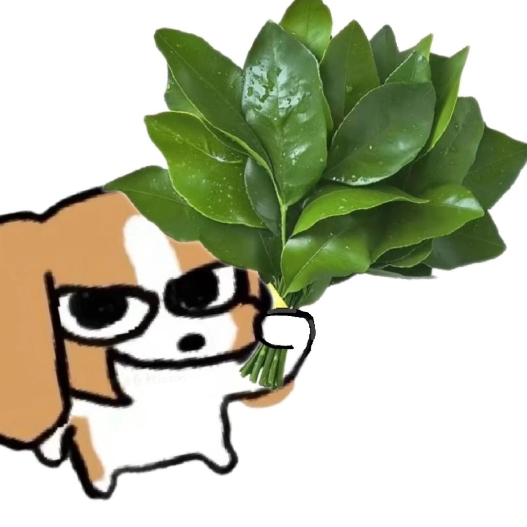范团子