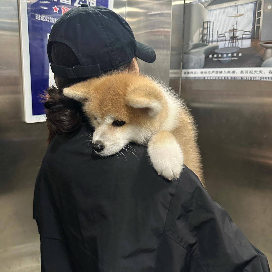 美女emo了