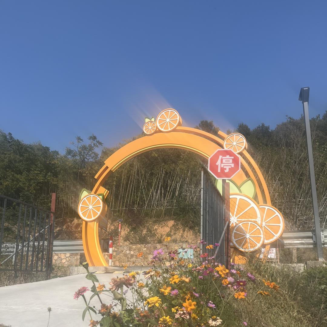 秦山丰味农场橘小农红美人