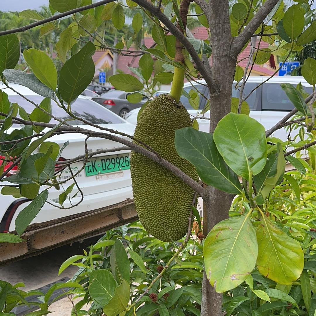 七零后四个娃的男人