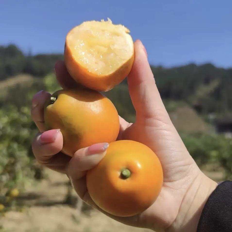 桔县令彬步专卖店