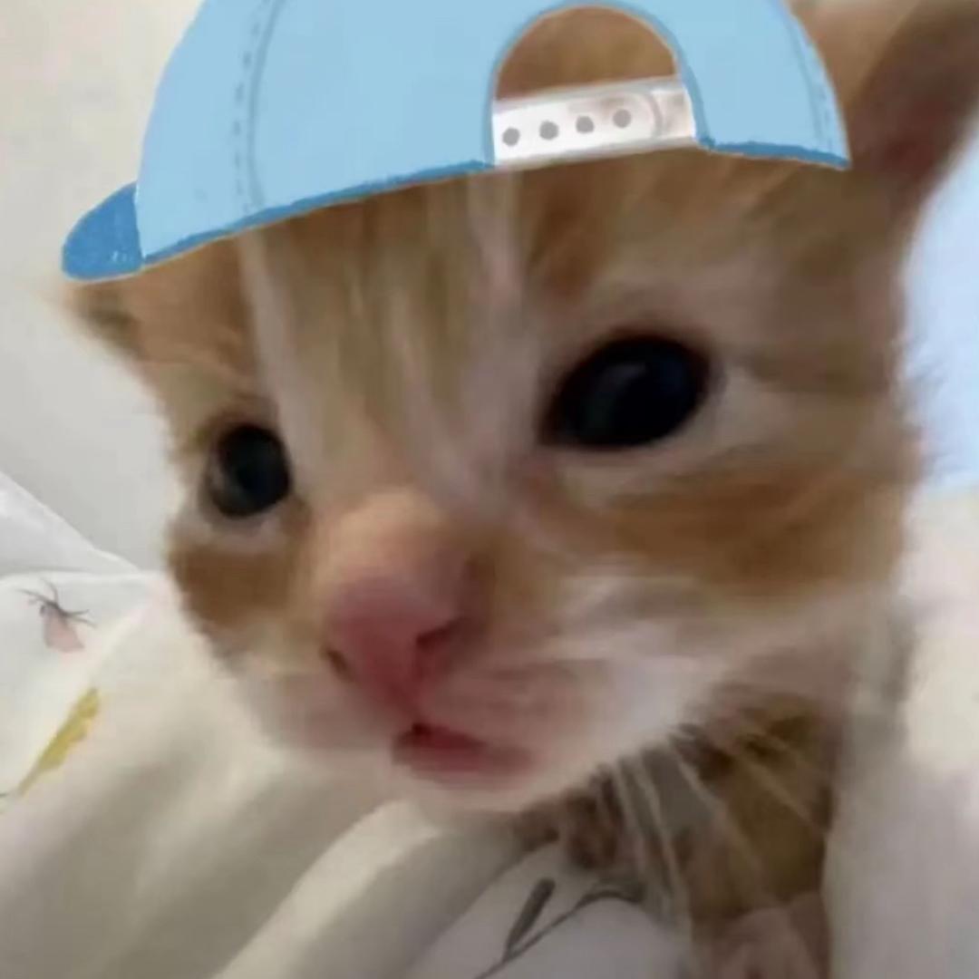 摆子