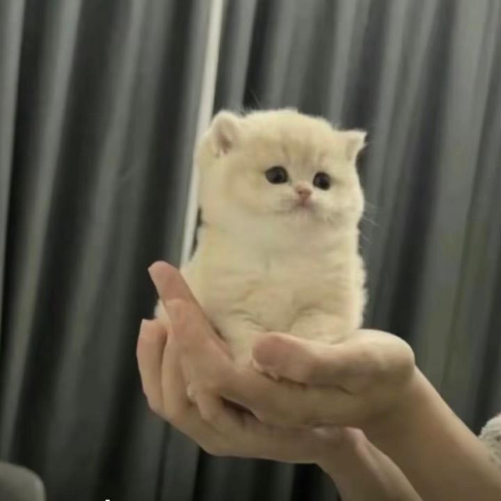 白云、
