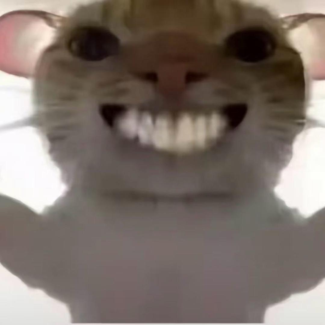 十七^