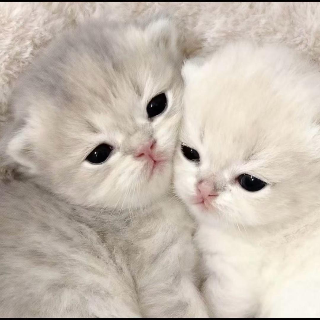 我好开心呀。！