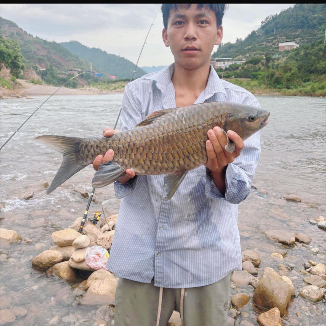 溪流疯