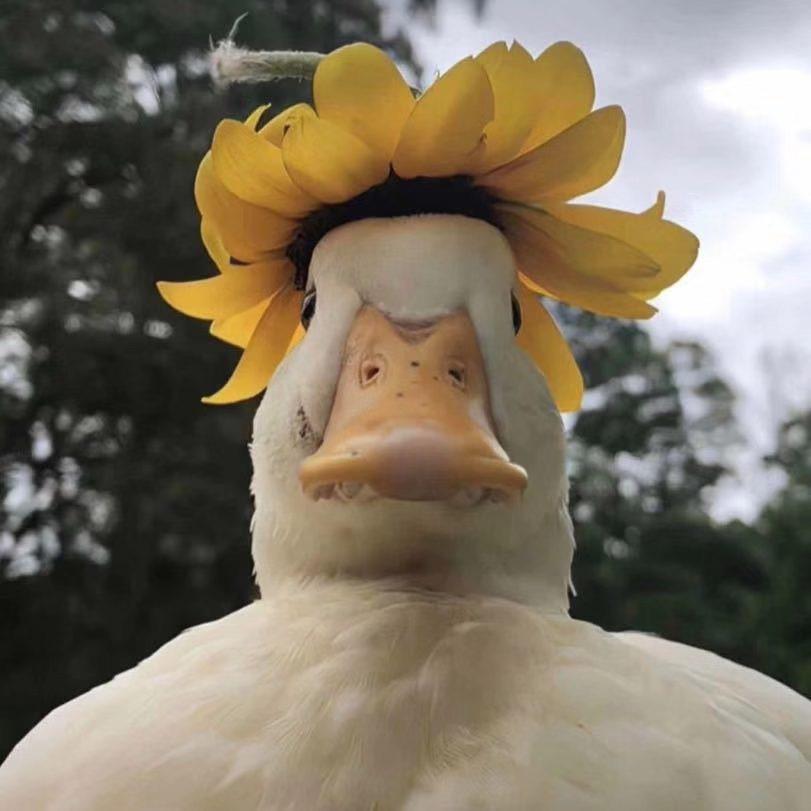 এ᭄ꦿ俗人ོྂཾ࿆࿐