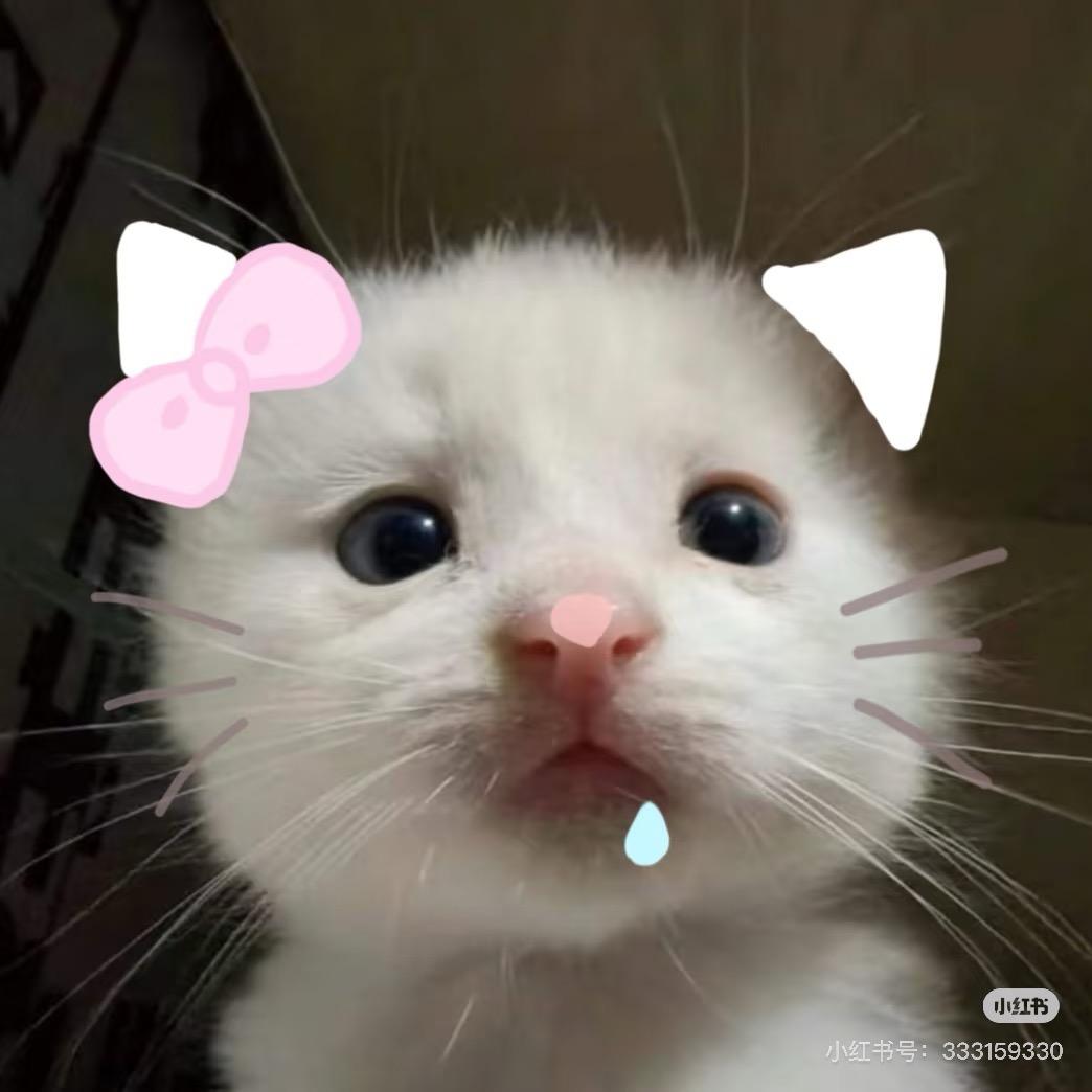 hello球球，