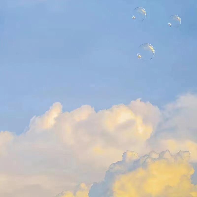 张先森