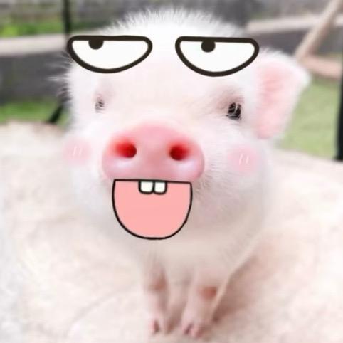 hi
