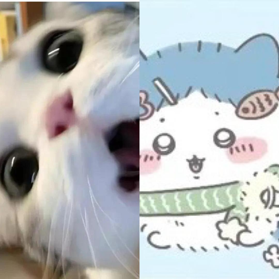 零一秒·