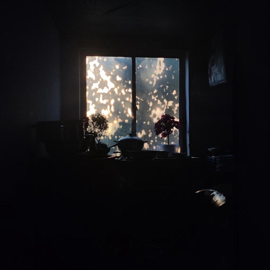 摸着良心说喂了狗