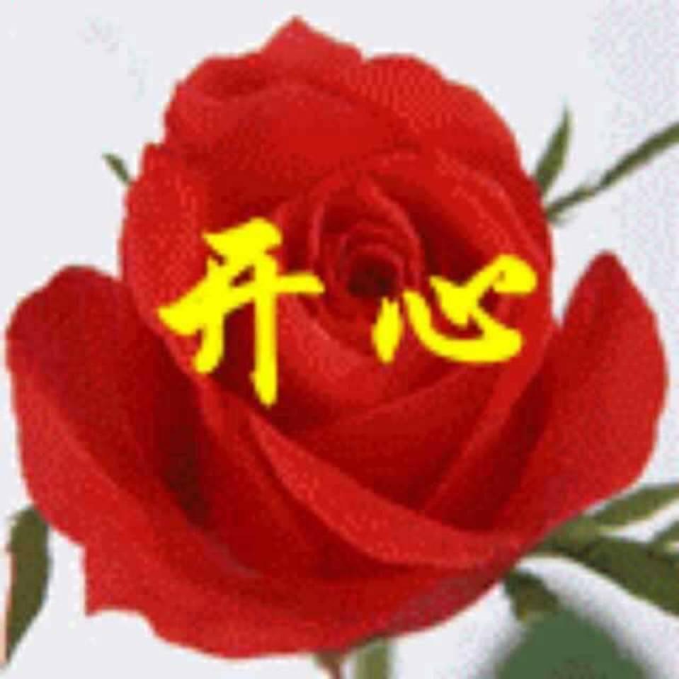 哈喽