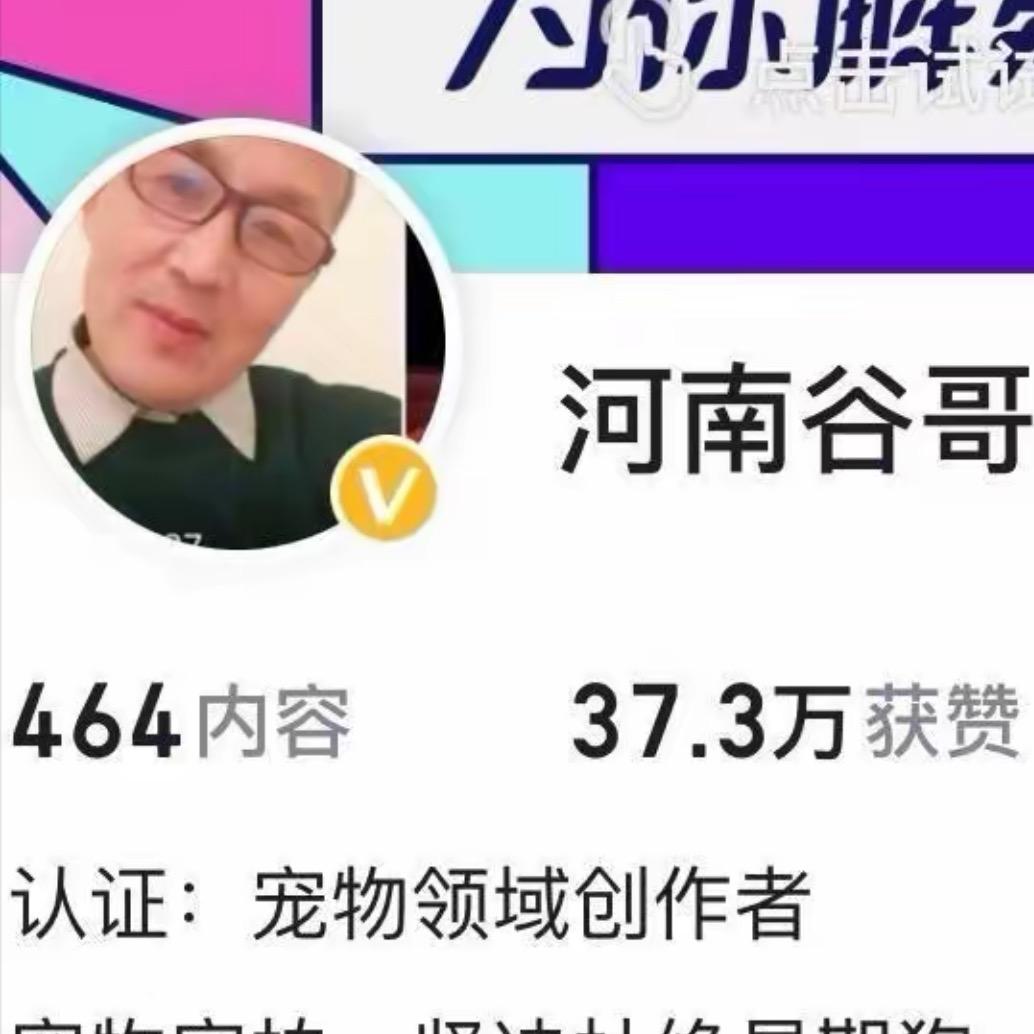 谷哥犬舍
