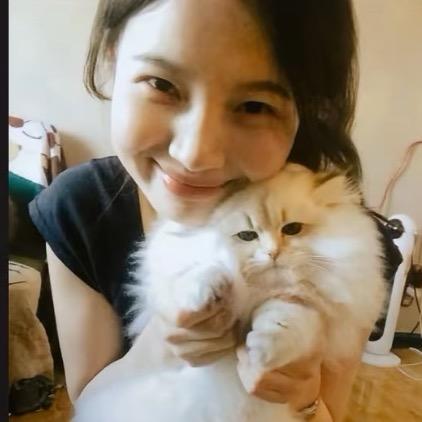 你是我唯一的诗