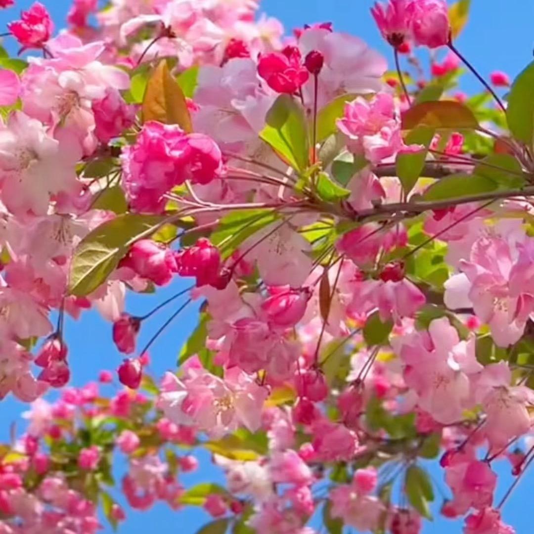 天若有情～陈总