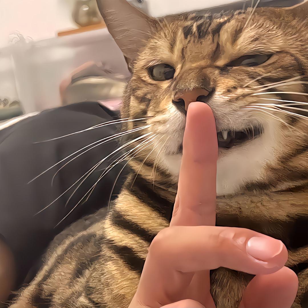 7.墨