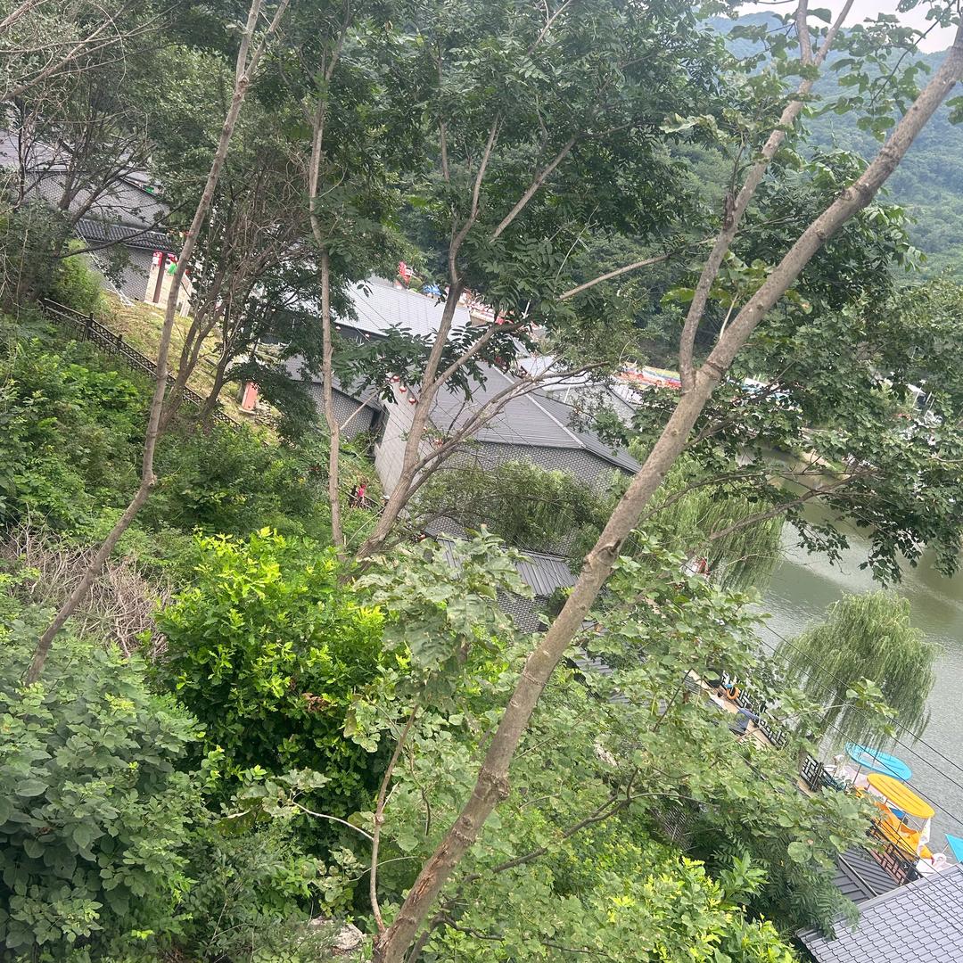 好物分享给大家