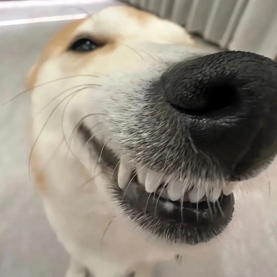 再也不熬夜啦