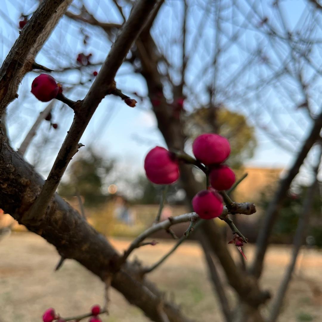 骄阳一缕阳光，