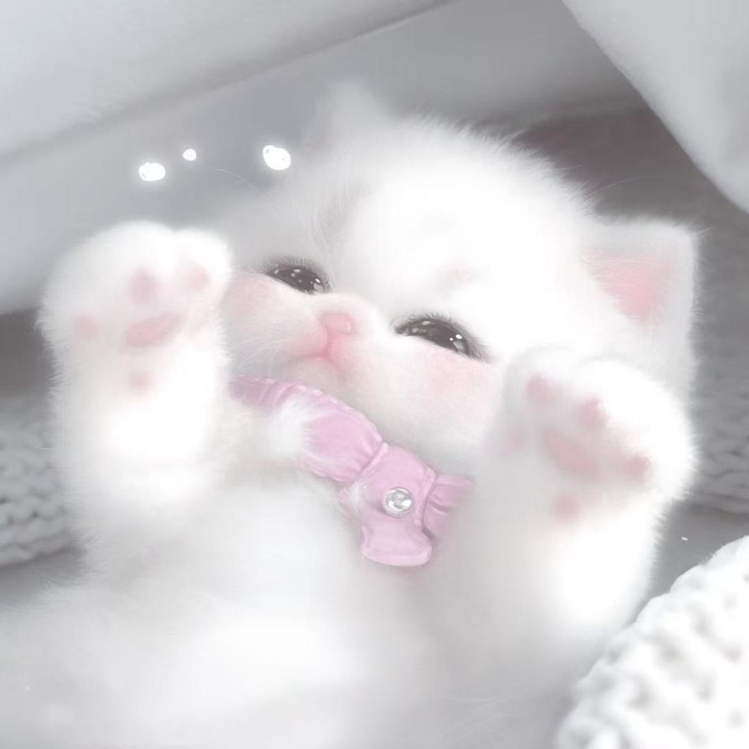 林晚柠