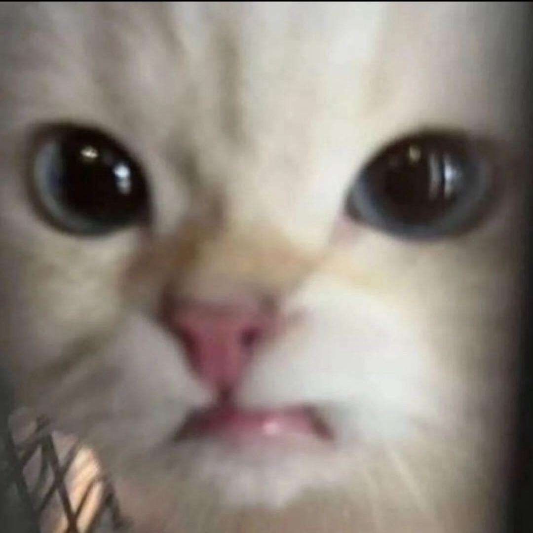 寸日