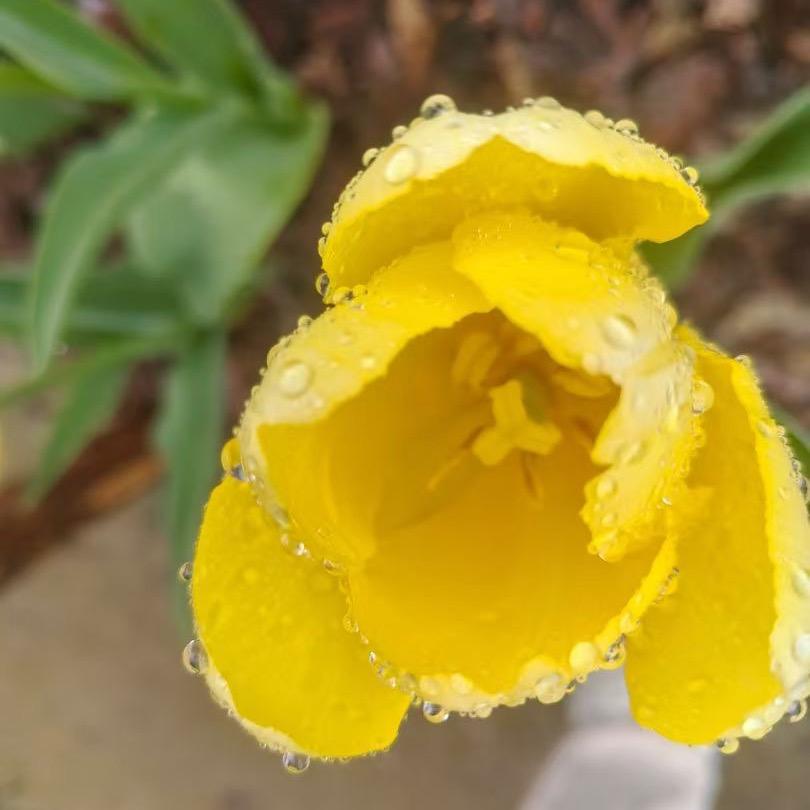 凤止和平地铁站