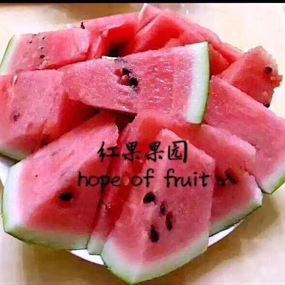 大贺