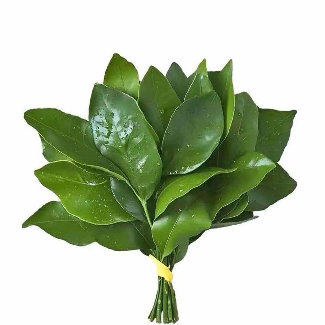 爱吃香菜
