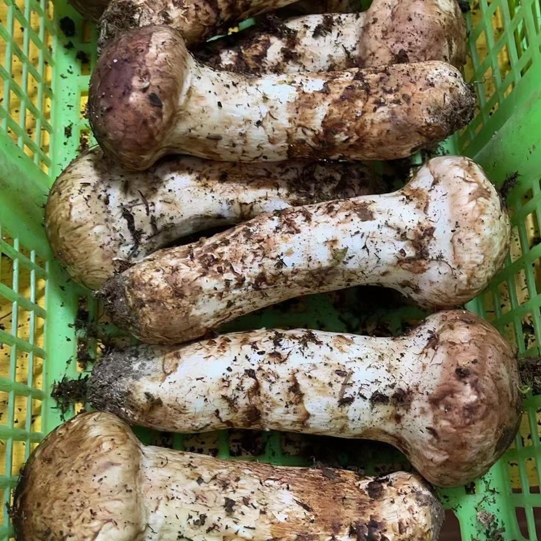 俊洁农副产品个体店