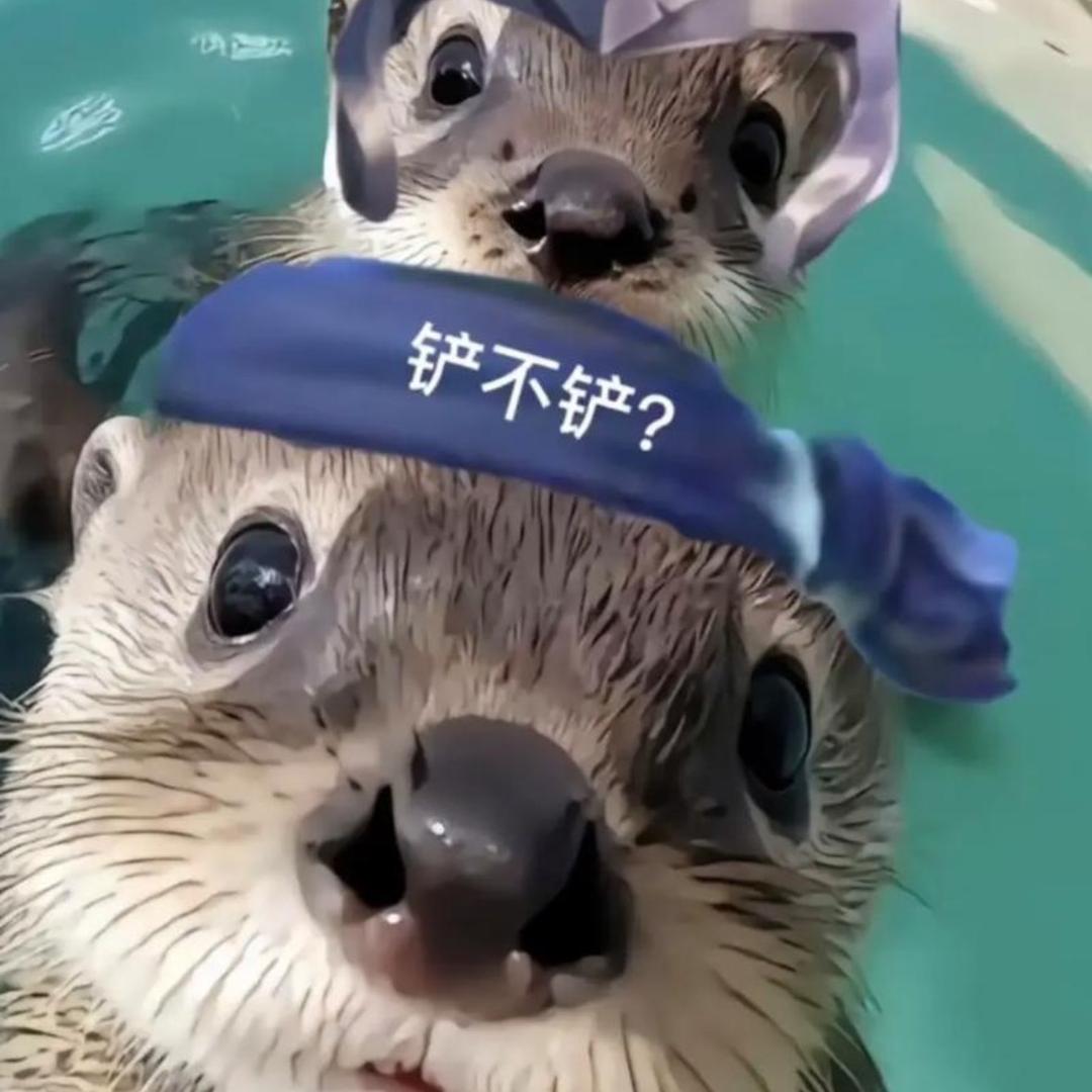 泓