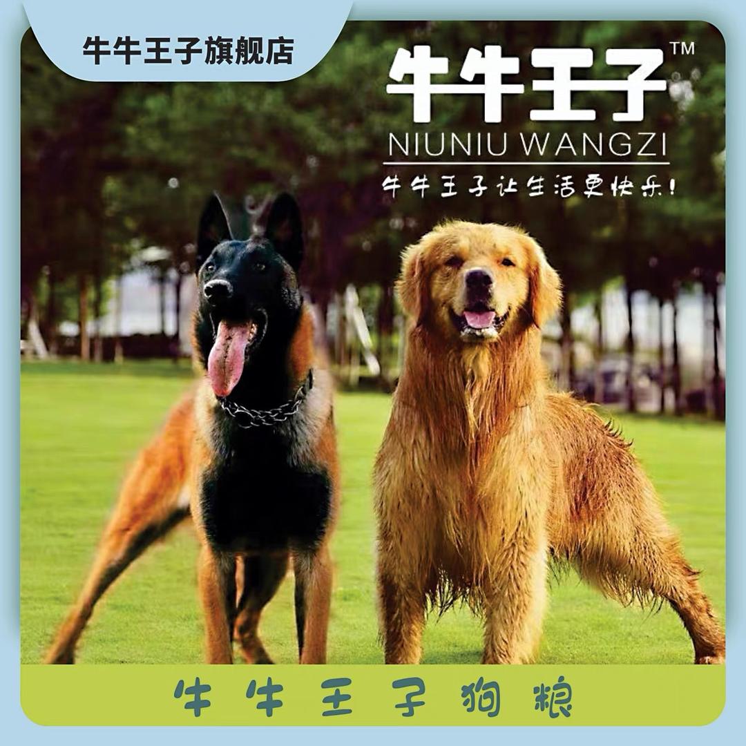 牛牛王子