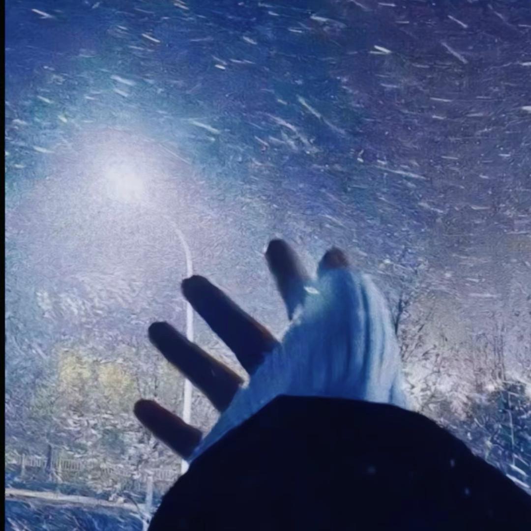 星星喜欢月亮🌙