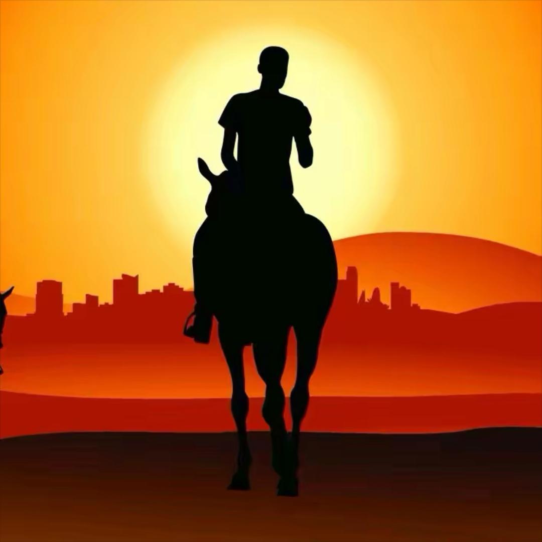 东莞市林洁朝运营号