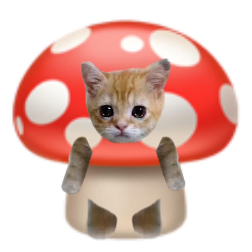 🍄