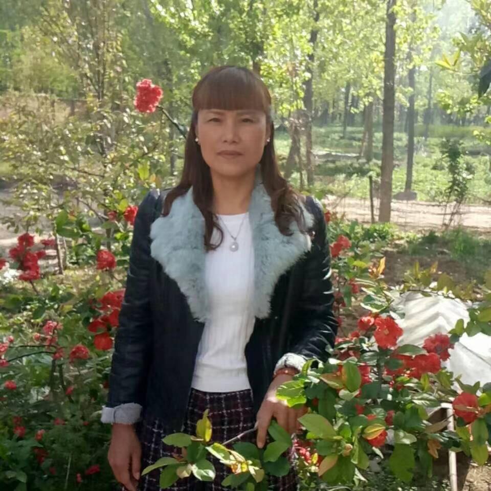 天下任我闯