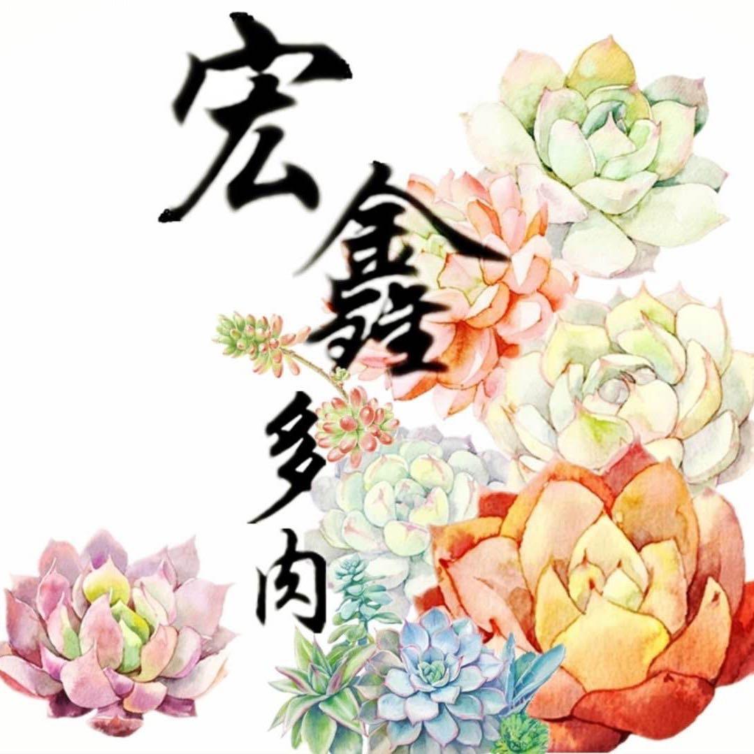 宏鑫多肉园艺