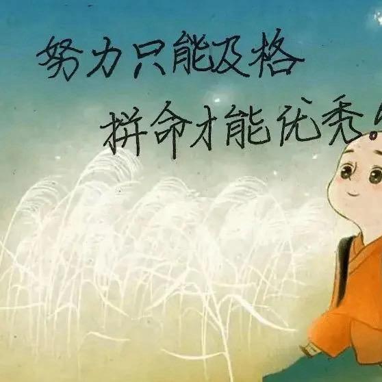 老狼