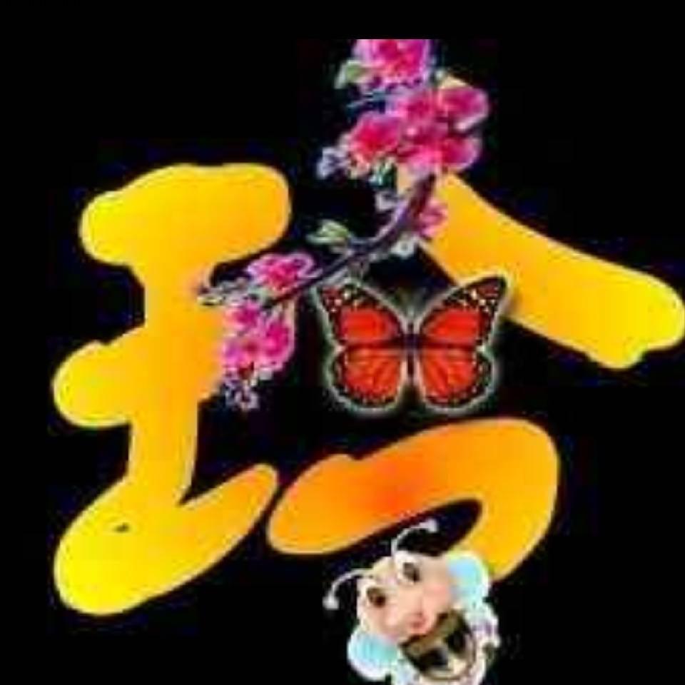 自由自在