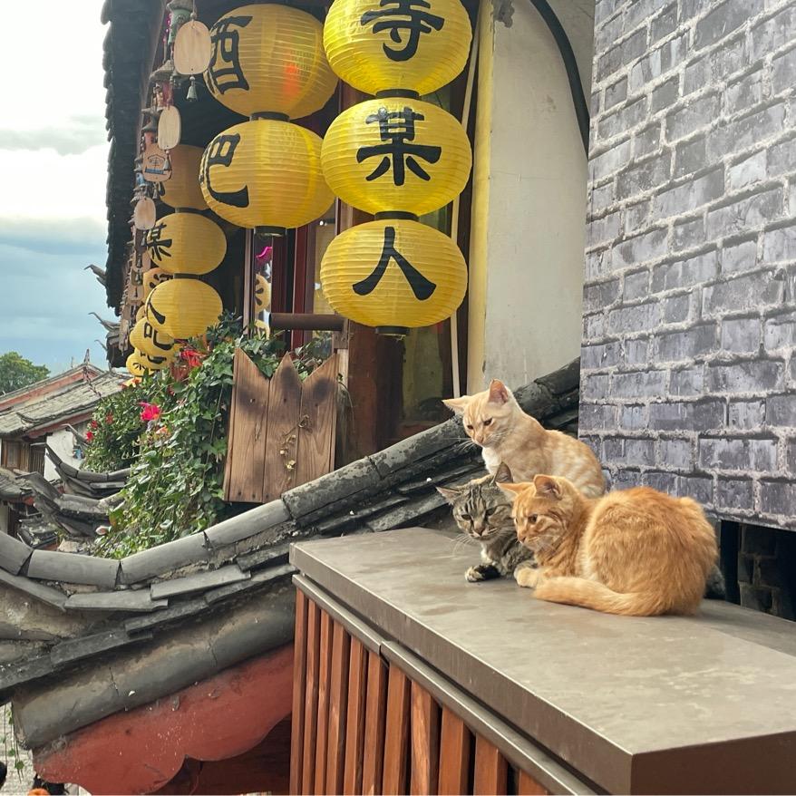 川A.牛逼轰轰