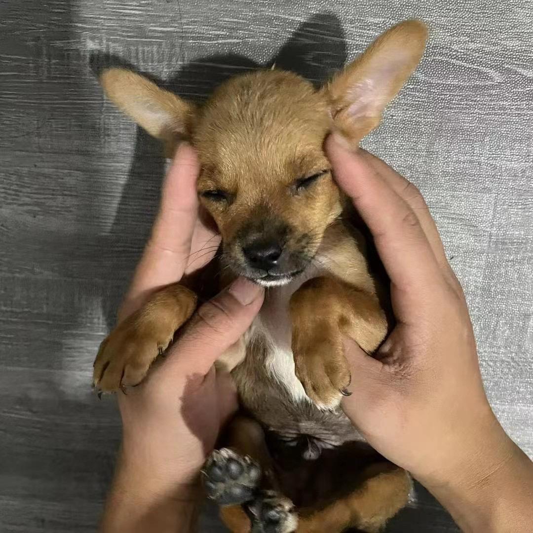 Y.
